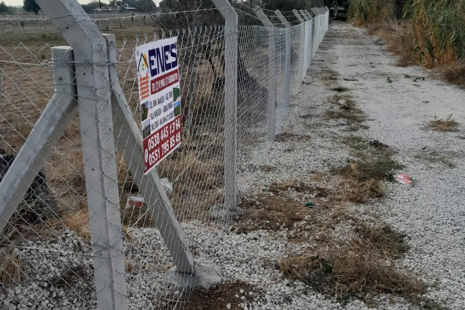 Dikili Tel Çit Üreticilerii