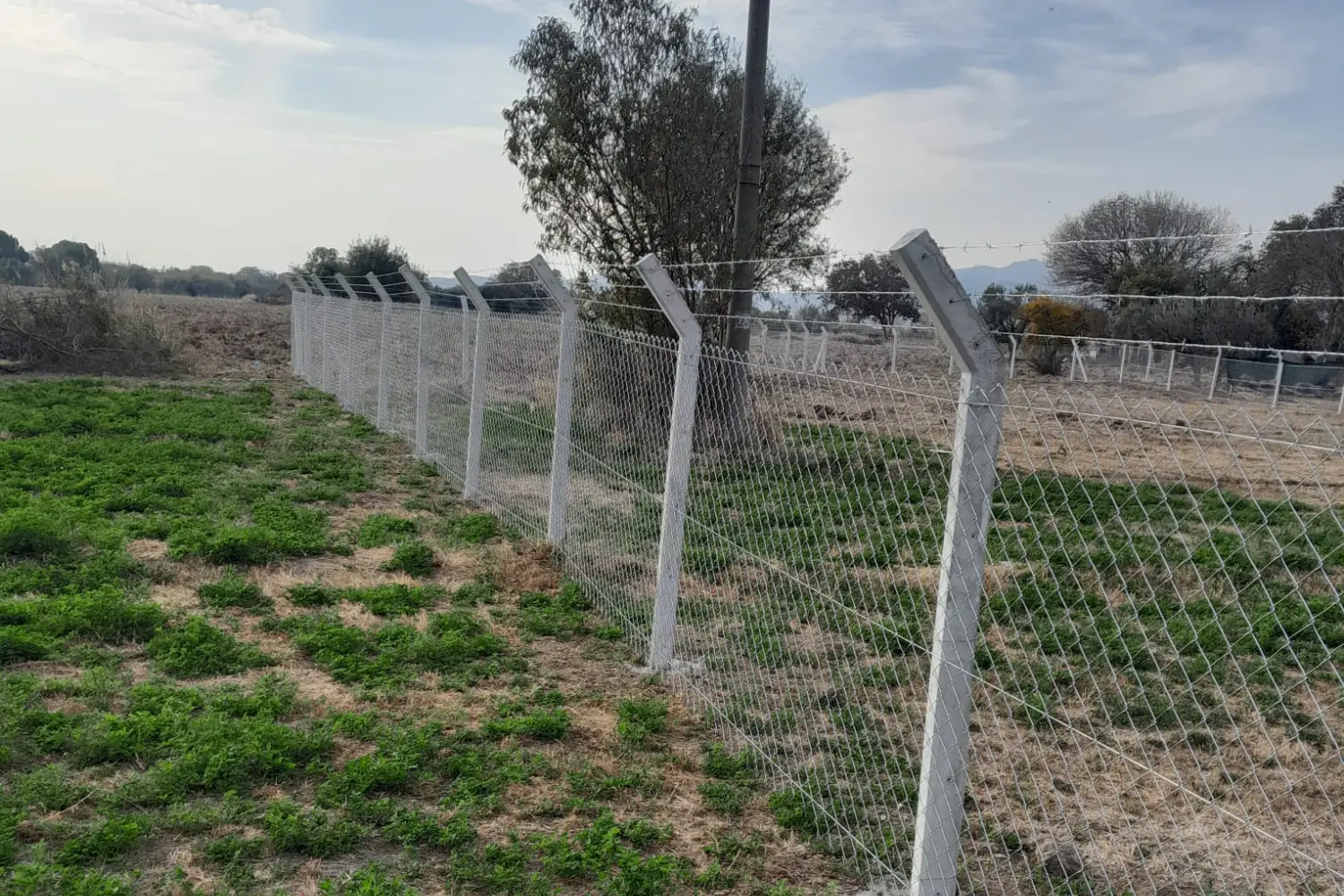 Dikili Bina Bahçeleri Tel Çit