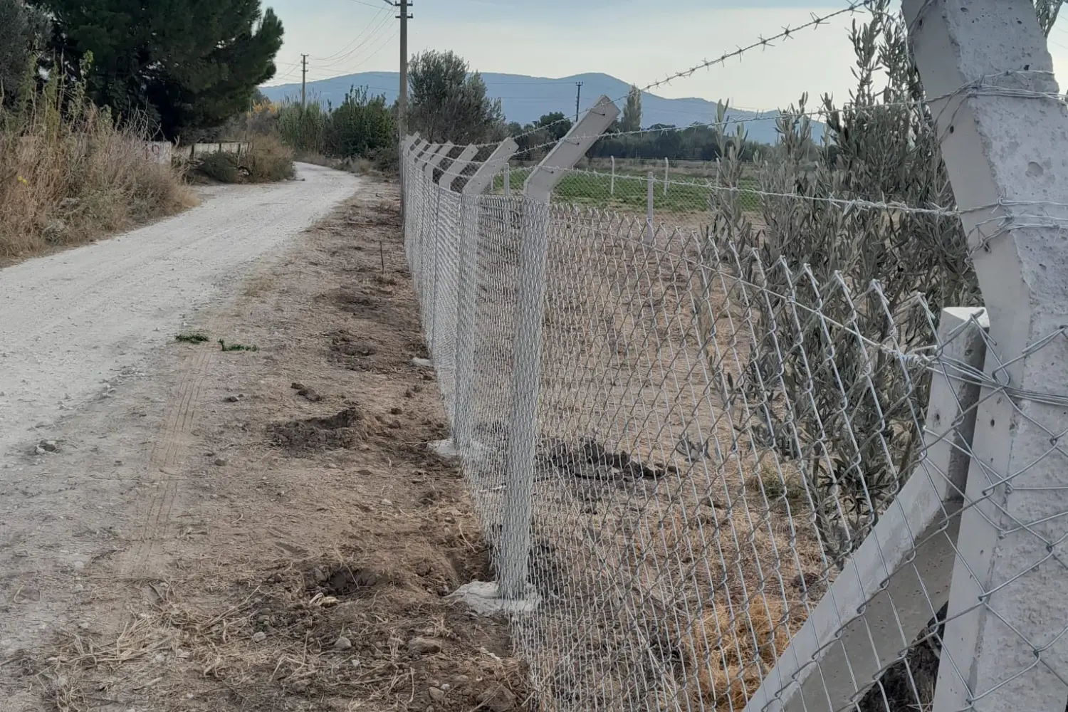 Dikili Çim Çit Firması