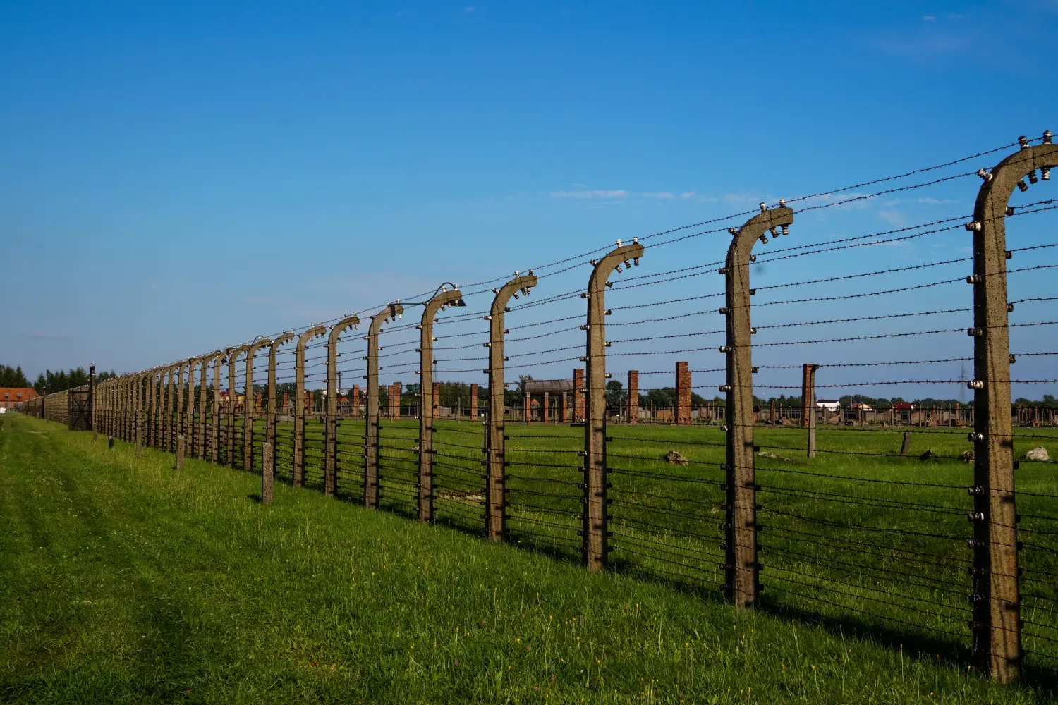 Dikili Tel Çit Firması